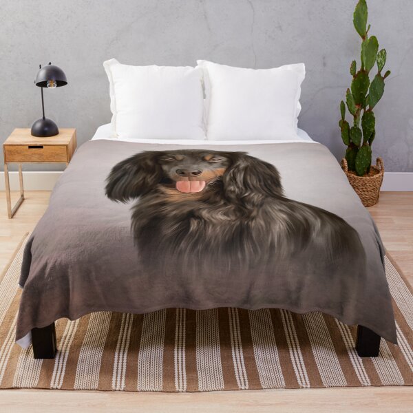 Item preview, Drawing Dog breed long haired dachshund designed and sold by bonidog.