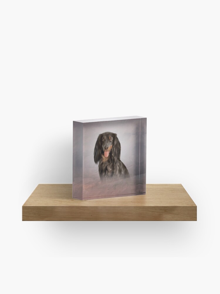 Drawing Dog Breed Long Haired Dachshund Acrylic Block By Bonidog