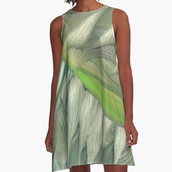 Igalimma A-Line Dress