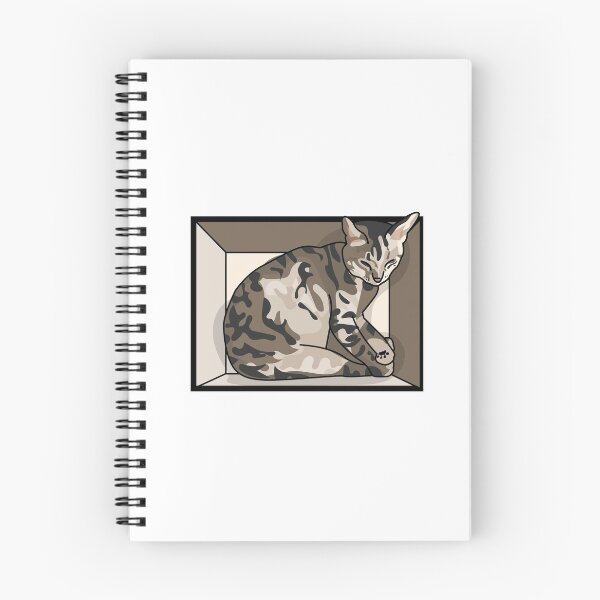 Item preview, Light Tabby Cat in a box designed and sold by fishdoctor.