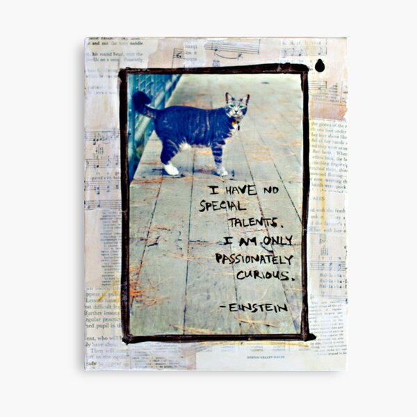 Curious Cat - Mixed Media Photography Canvas Print