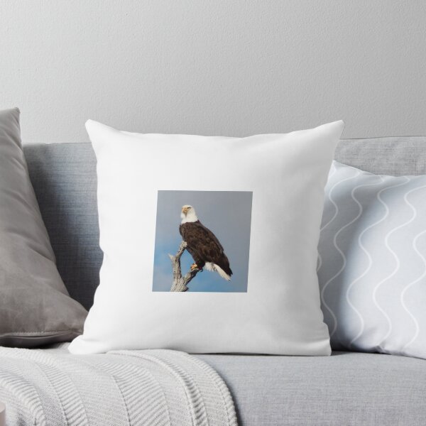 Item preview, Eagle designed and sold by WyoWanderer.