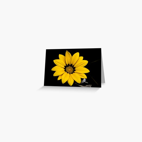 Stylized Yellow Flower Greeting Card