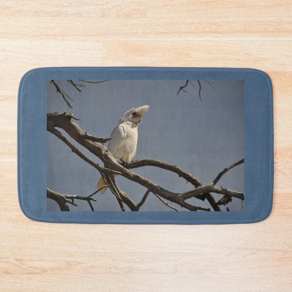 Item preview, Cocky, Port Elliot, Australia 2019 designed and sold by muz2142.