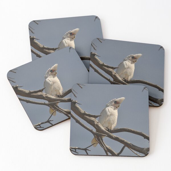 Item preview, Cocky, Port Elliot, Australia 2019 designed and sold by muz2142.