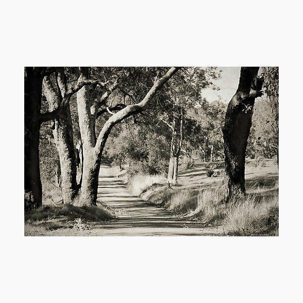 Country Road Photographic Print