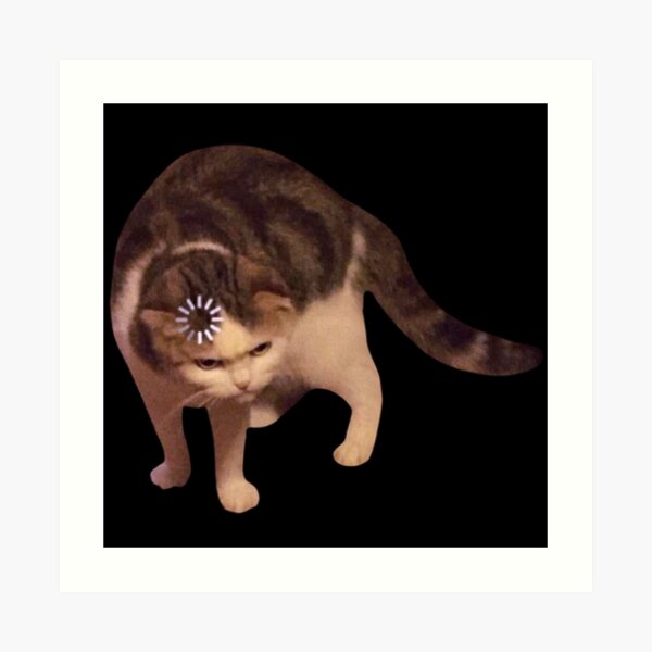 cat meme icon, Gallery posted by jaenpay