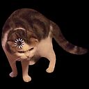 flat,128x,075,f-pad,128x128,f8f8f8.jpg