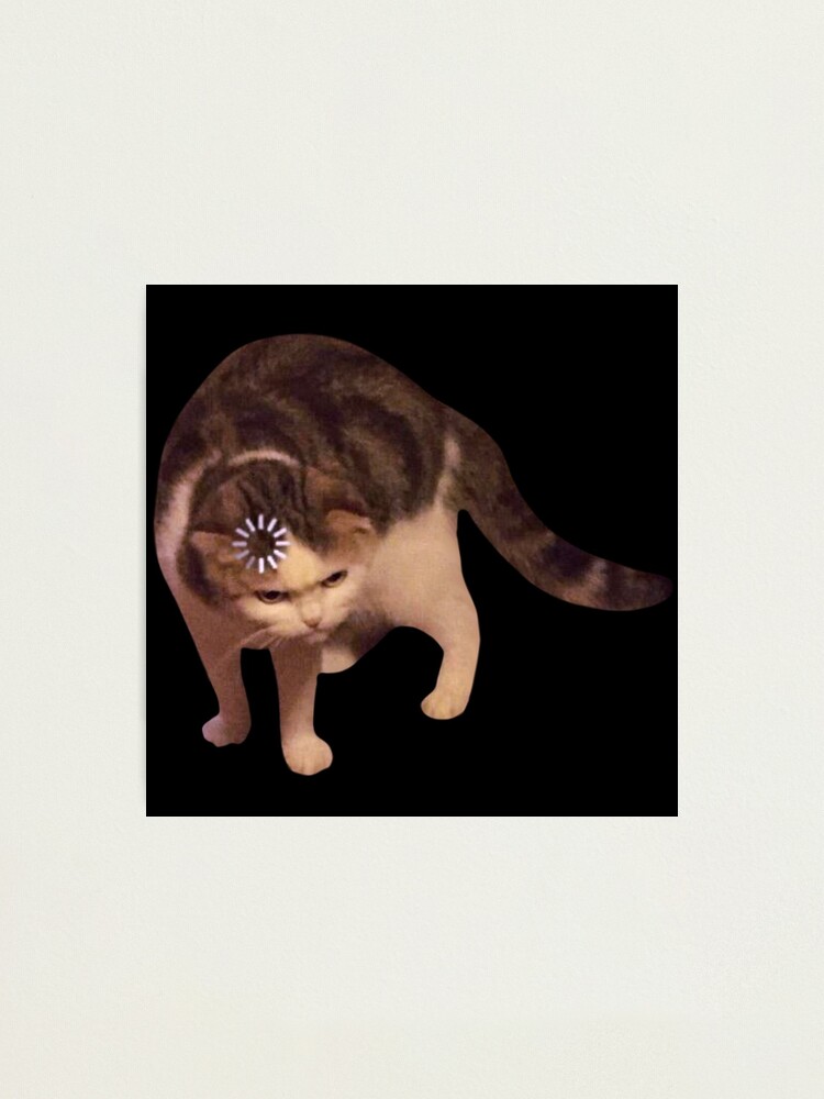 Cat loading icon meme | Photographic Print