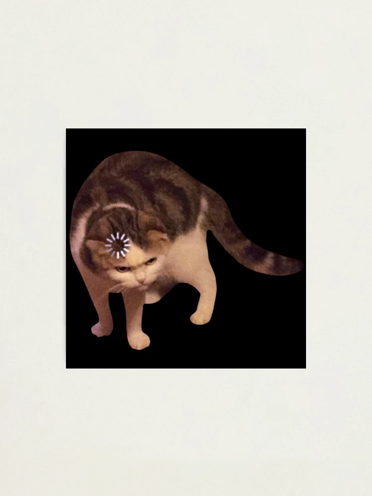 Cat loading icon meme | Greeting Card