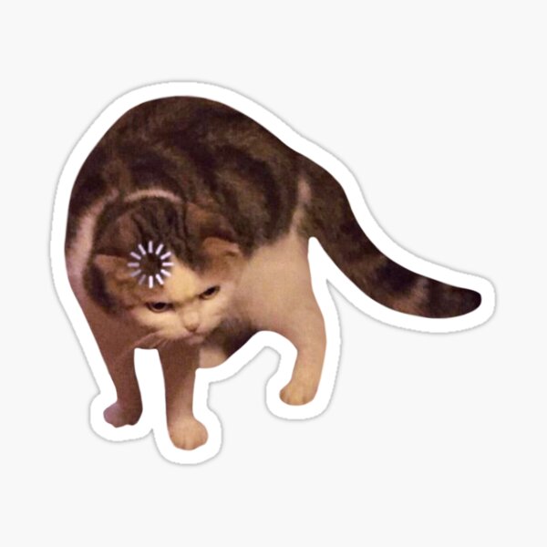 cats icon meme｜TikTok Search