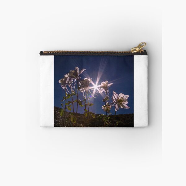 Aperçu de l'œuvre Columbine Sunshine créée et vendue par WyoWanderer.