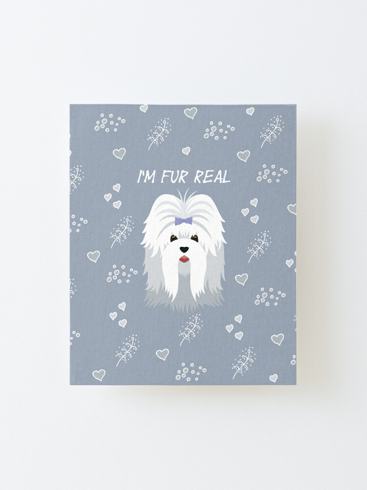Featured image of post Real Dog Pictures To Print : A wide variety of real dog pictures options are available to you, such as bowknot, ribbons, and lace.