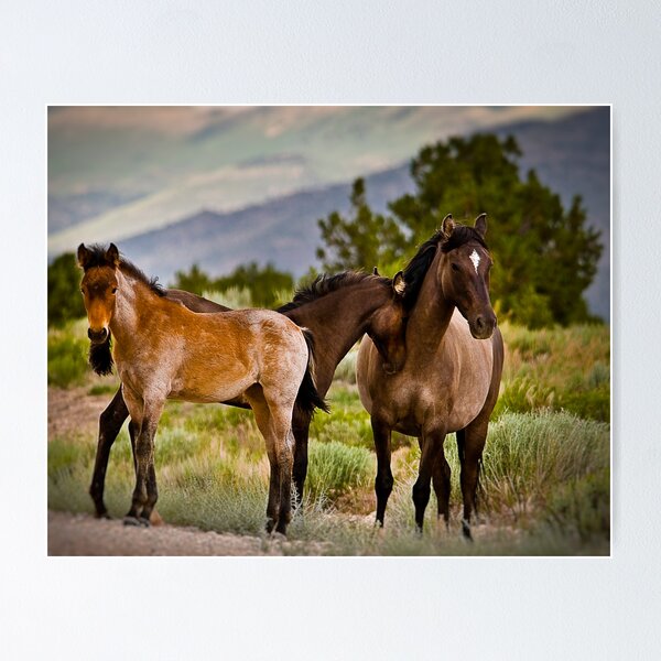 Item preview, That's MY Mom! designed and sold by Sue Ratcliffe.