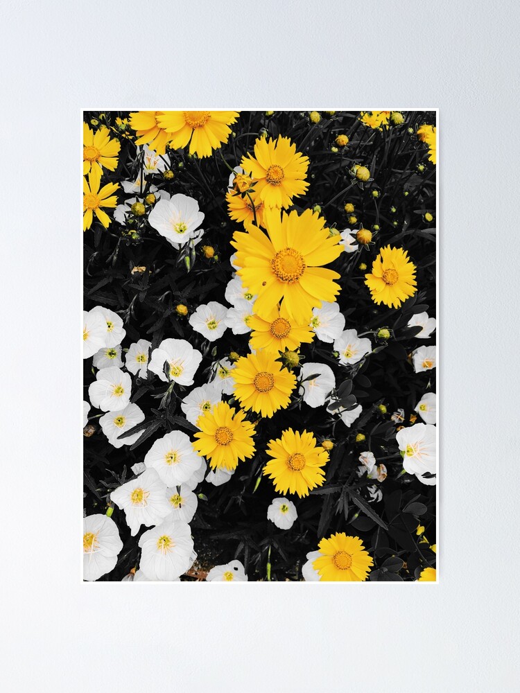 Póster «Flores negras, blancas y amarillas» de BlueExorcist | Redbubble