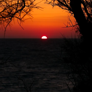 Artwork thumbnail, Blured Sunset by Riday