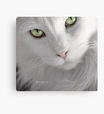 Double Take Canvas Print