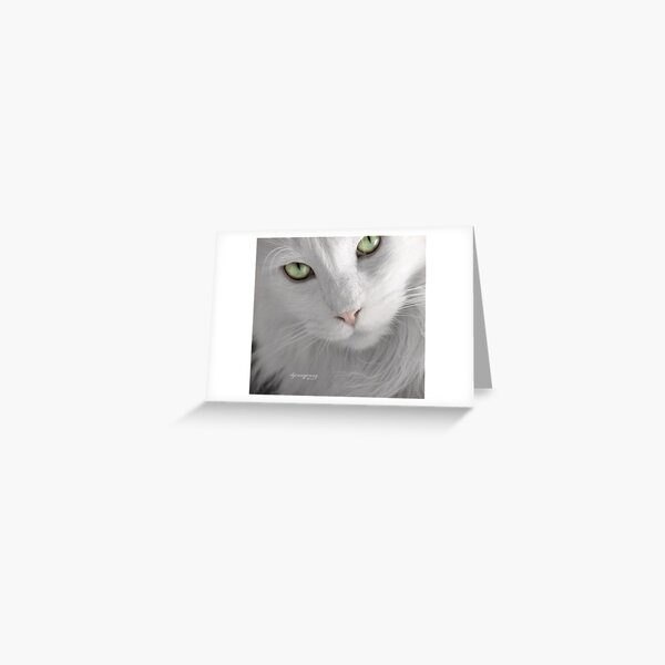 Double Take Greeting Card