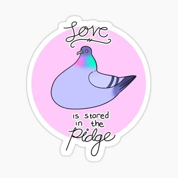 Love is stored in the Pidge Sticker