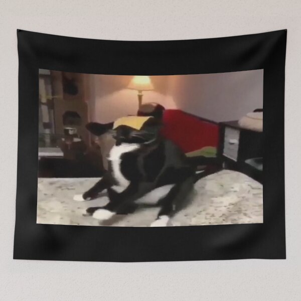 Item preview, cat slapped with cheese designed and sold by Ryandb.