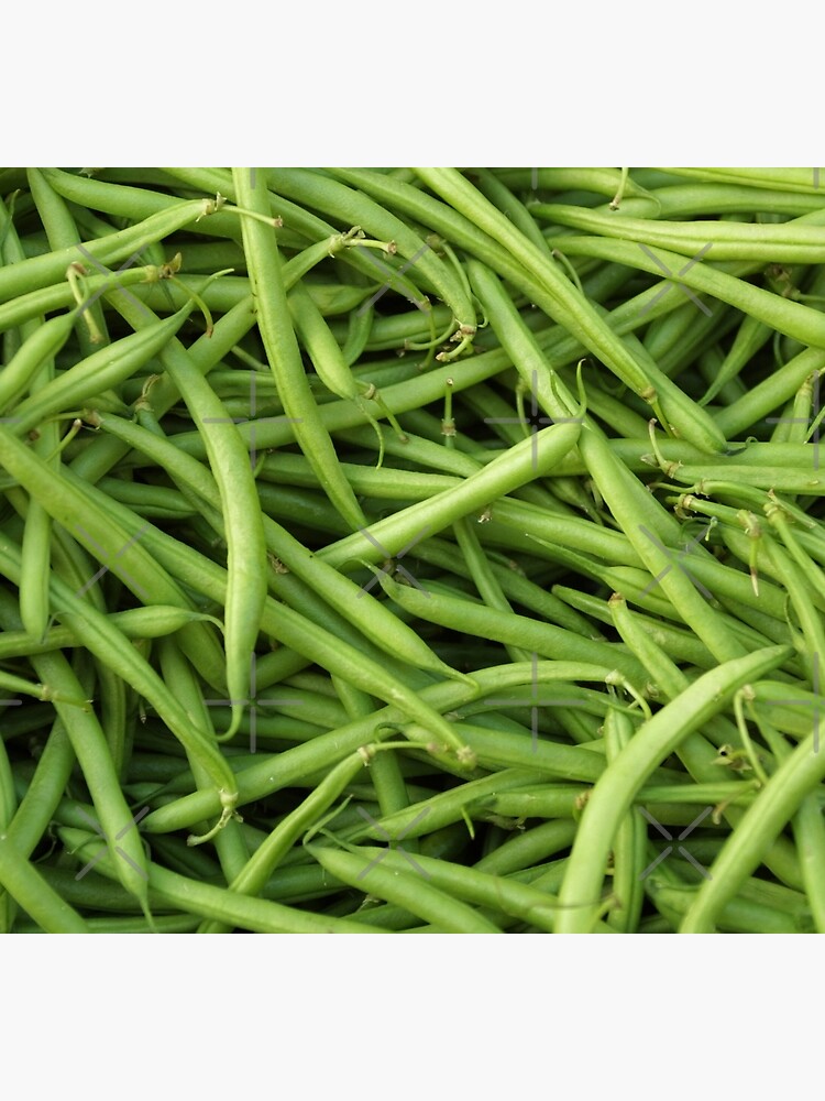 Green Beans by quinnhopp