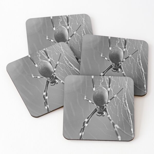 Item preview, Orb Weaver Spider  in Black & White designed and sold by Mickangelhere.