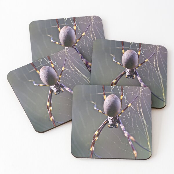 Item preview, Spider on the Web! designed and sold by Mickangelhere.
