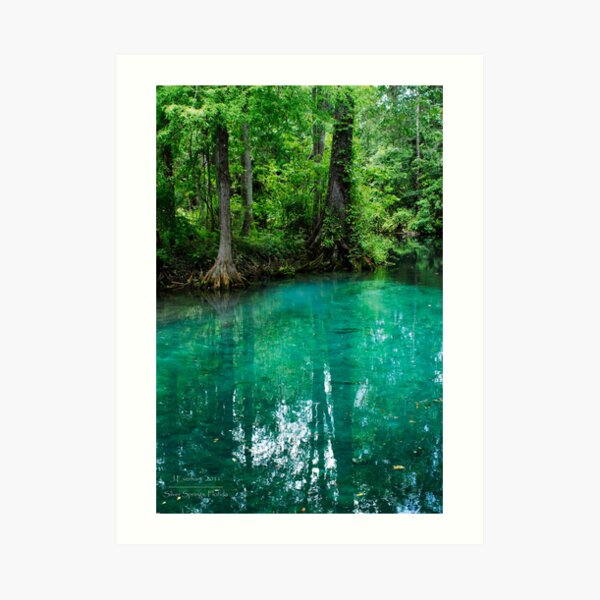 Silver Springs Florida Art Print