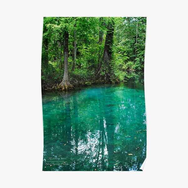 Silver Springs Florida Poster