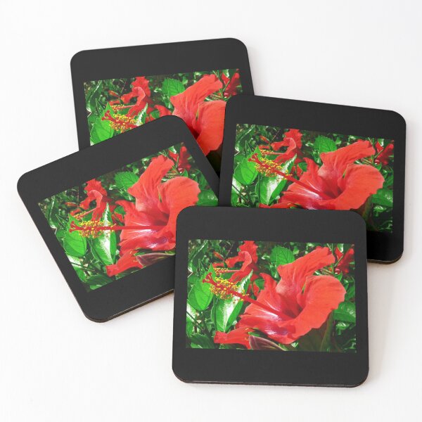 Item preview, Red Hibiscus flower in close-up.  designed and sold by PicsByTony.