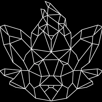 Artwork thumbnail, Polygon Zorua by RascalMedia