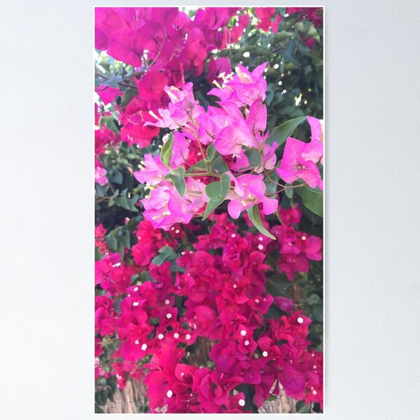 Item preview, New Day designed and sold by Keeley Clinton.