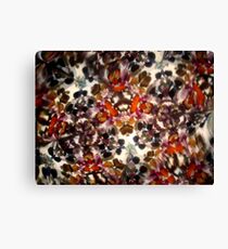 Kaleidescope 157 Canvas Print