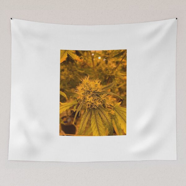 Item preview, Weed head designed and sold by WeedSplifs.