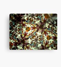 Kaleidescope 170 Canvas Print