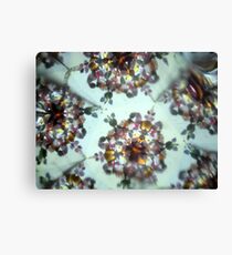 Kaleidescope 175 Canvas Print