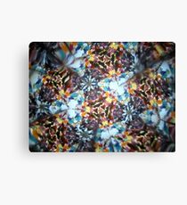 Kaleidescope 182 Canvas Print