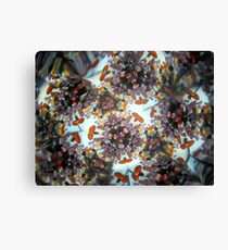 Kaleidescope 196 Canvas Print
