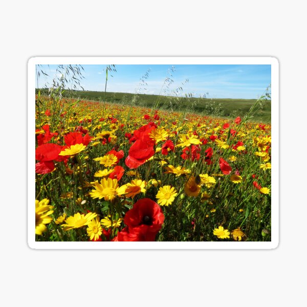 Item preview, Wild Flower Meadow designed and sold by Donna Davidge.
