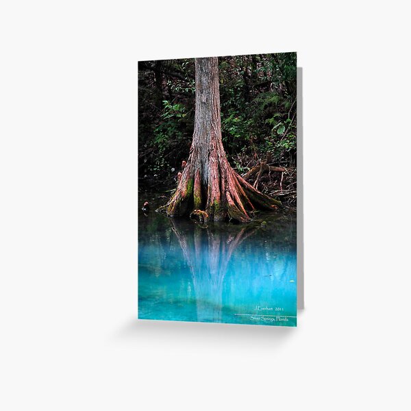 Reflective Beauty Greeting Card