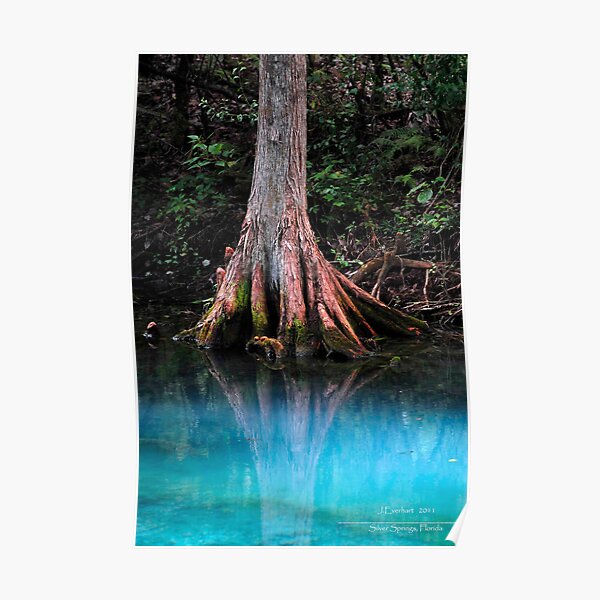 Reflective Beauty Poster