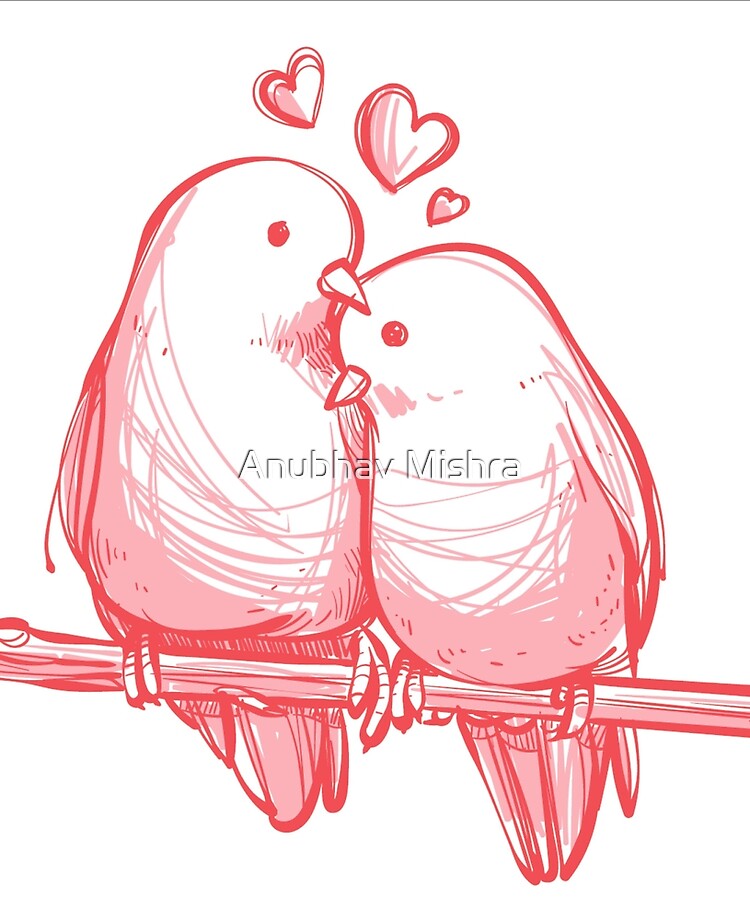 How to draw Two Love Birds | Beautiful Two love Birds Drawing for Beginners  | step by step - YouTube