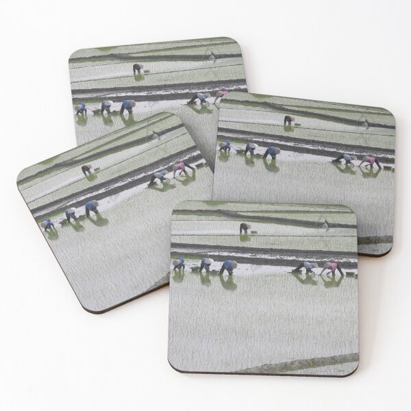 Item preview, Rural Landscape, Farmers Working Rice Fields,Vietnam designed and sold by worldways.