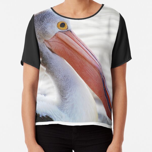 Pelican Pink Chiffon Top