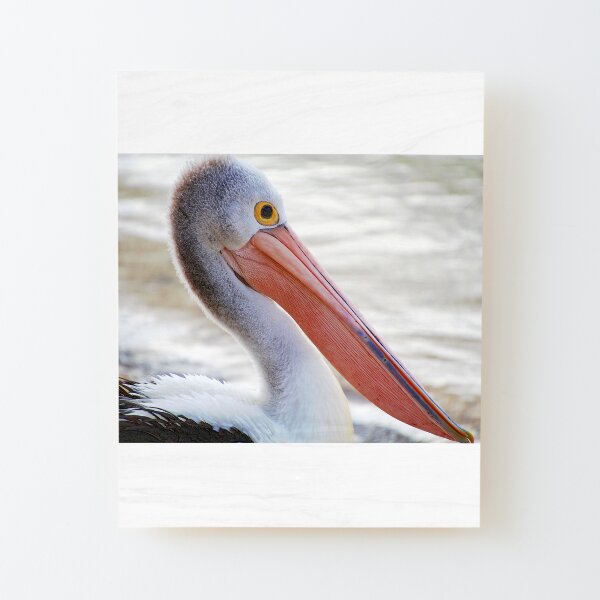 Pelican Pink Wood Mounted Print