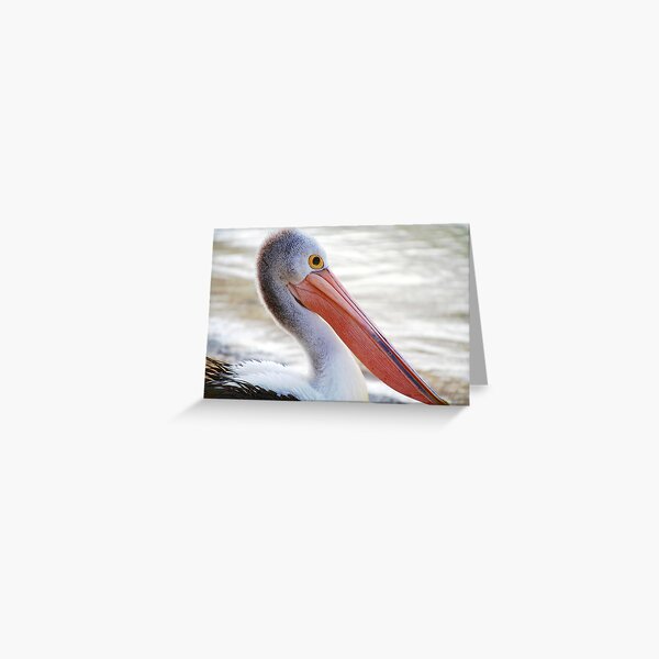 Pelican Pink Greeting Card