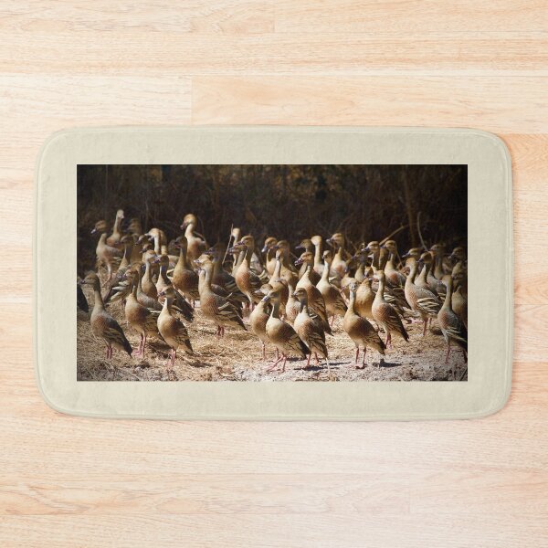 Item preview, Plumed whistling ducks  designed and sold by MargsNaturePix.