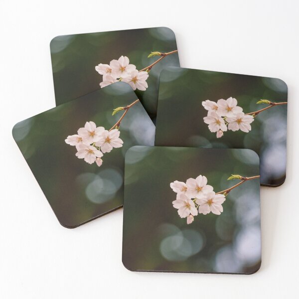 Item preview, Cherry Blossoms popping into frame - Japanese Sakura designed and sold by Jordan McChesney.