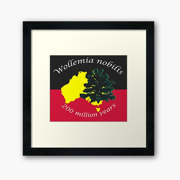Wollemia nobilis aka Wollemi Pine Framed Art Print