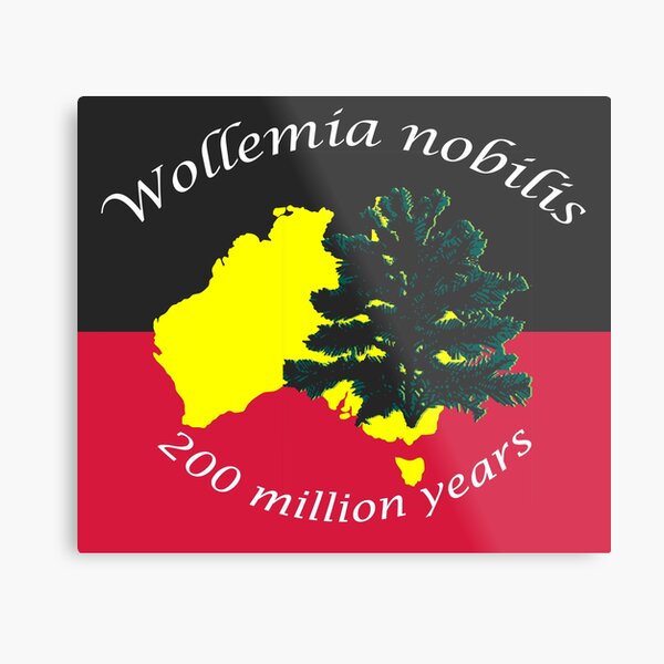 Wollemia nobilis aka Wollemi Pine Metal Print